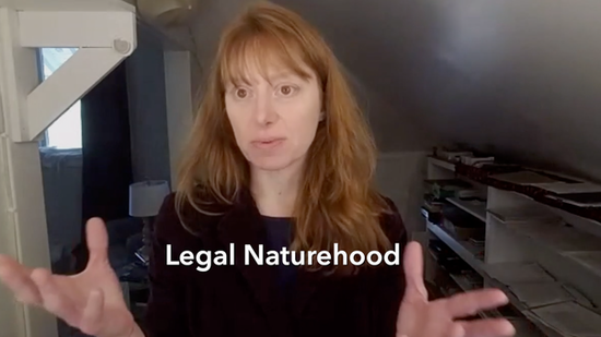 Evolution of the Rights of Nature Laws with Mari Margil of CDER